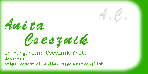 anita csesznik business card